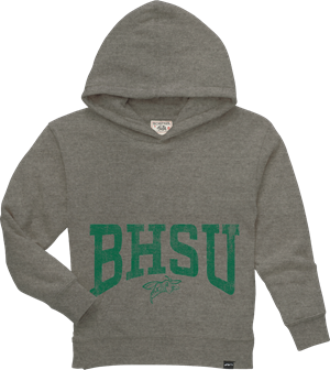 Image of BHSU Sting Youth Hoodie -  heathergray